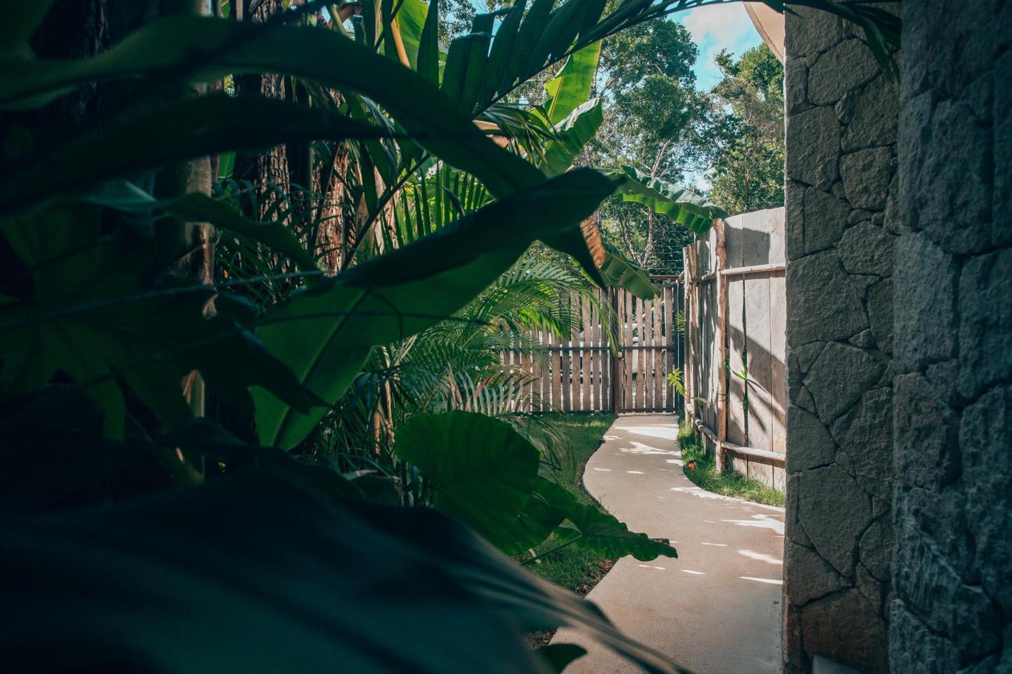 Jungle Rooftop Round Villa -Priv Pool-Bathtub 2A Tulum Exterior foto